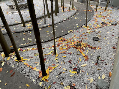 Fallen leaves, some placed, some windblown, between living trees in the Vera List Courtyard